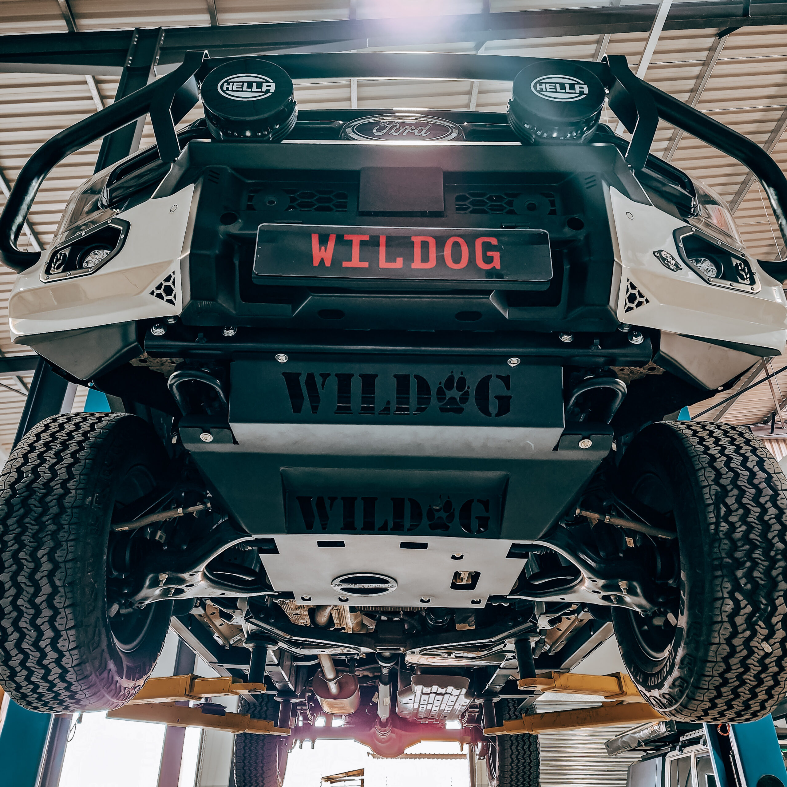 WILDOG - Image 12
