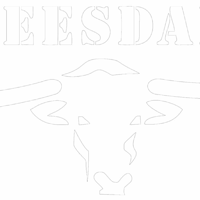 BEESDAM